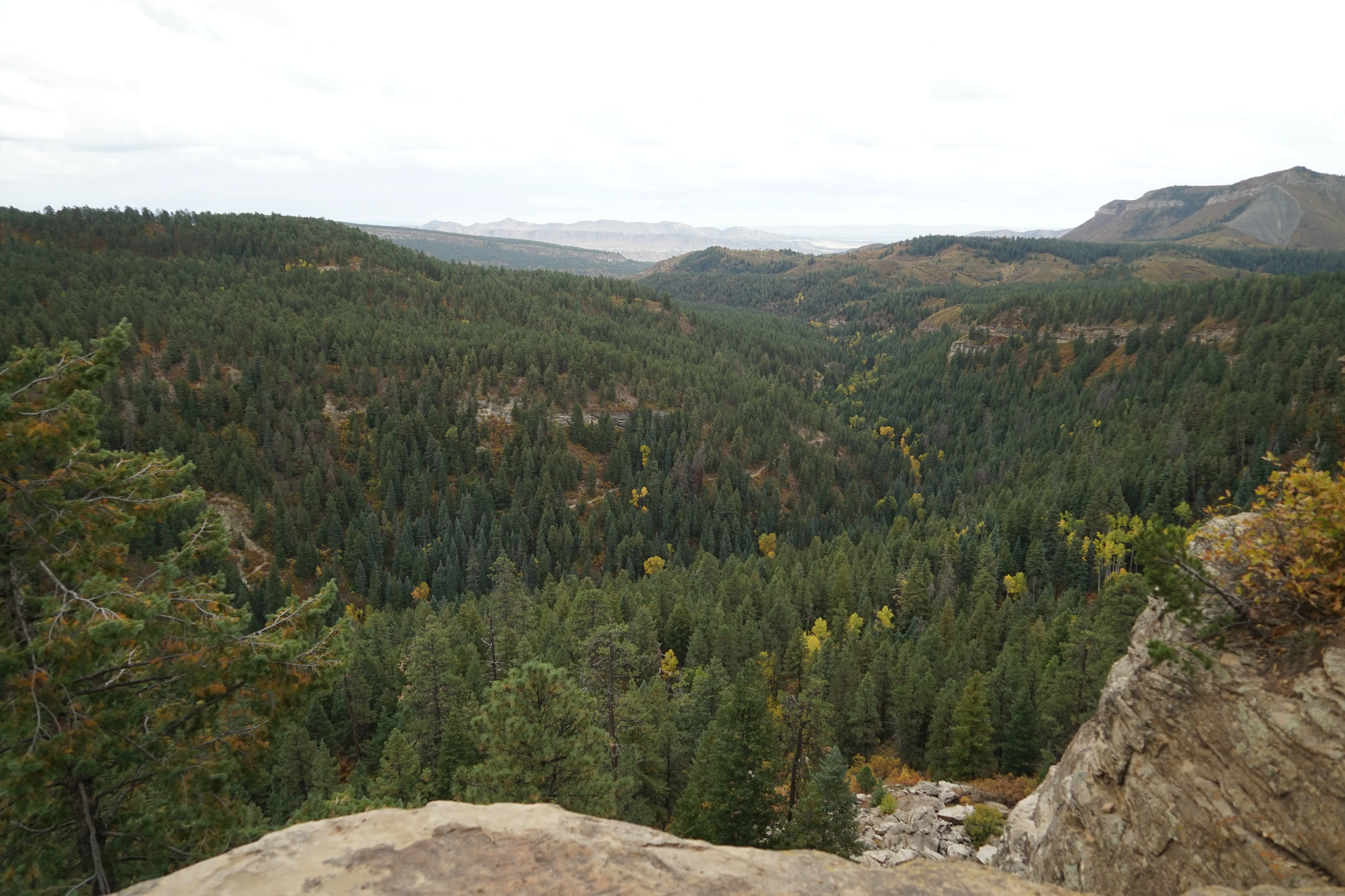 Hike the Colorado Trail to Gudy's Rest