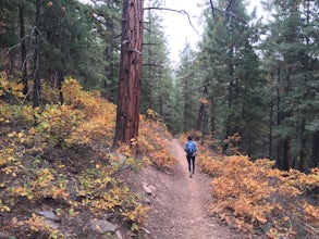 Hike the Colorado Trail to Gudy's Rest