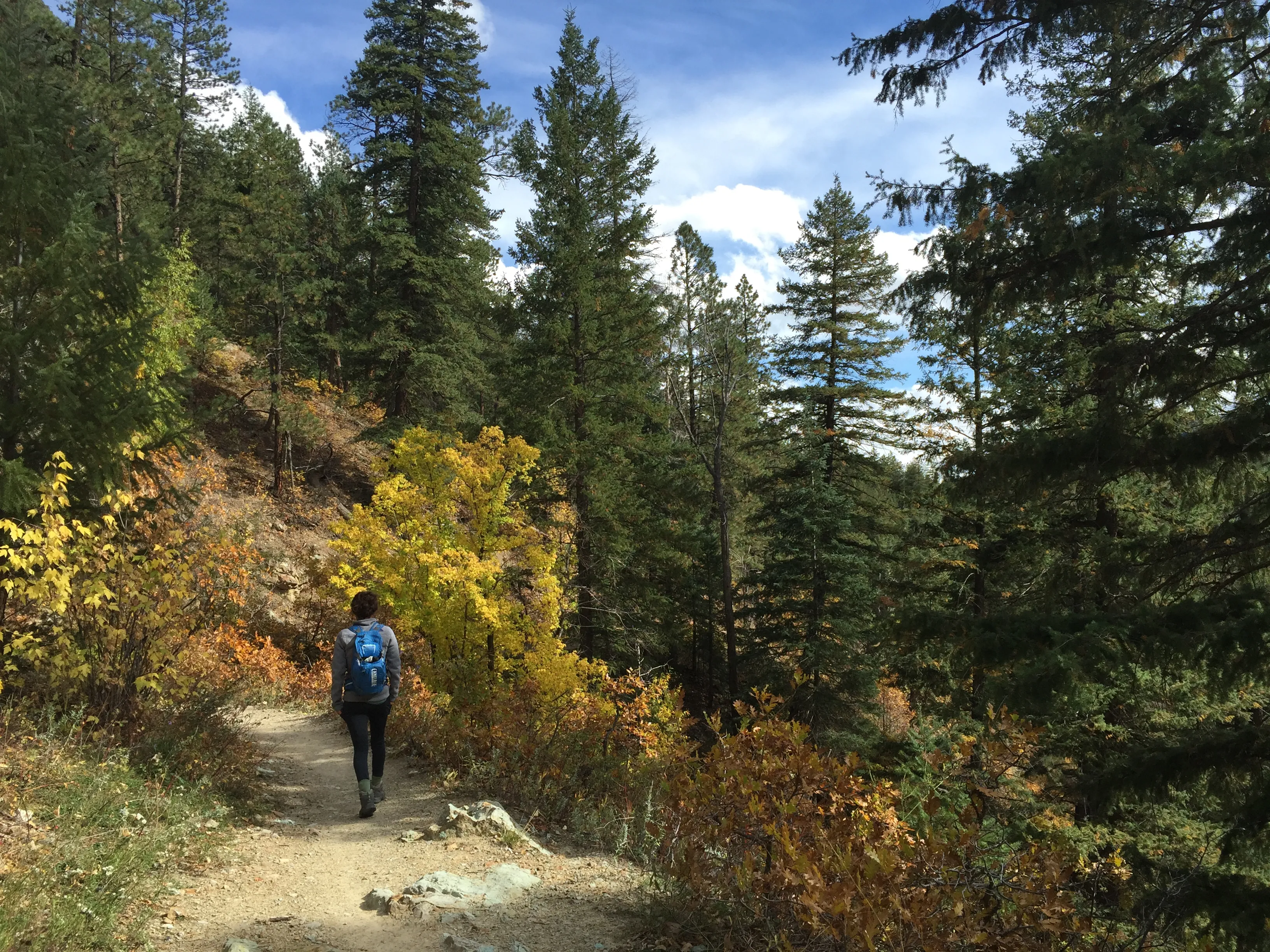 Hike the Colorado Trail to Gudy's Rest