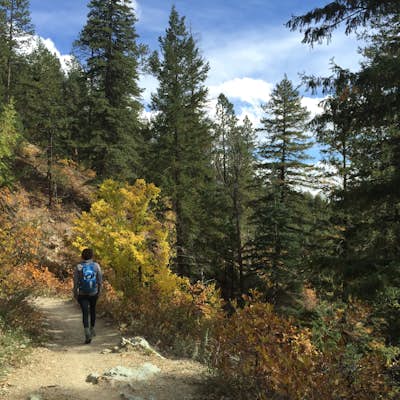Hike the Colorado Trail to Gudy's Rest