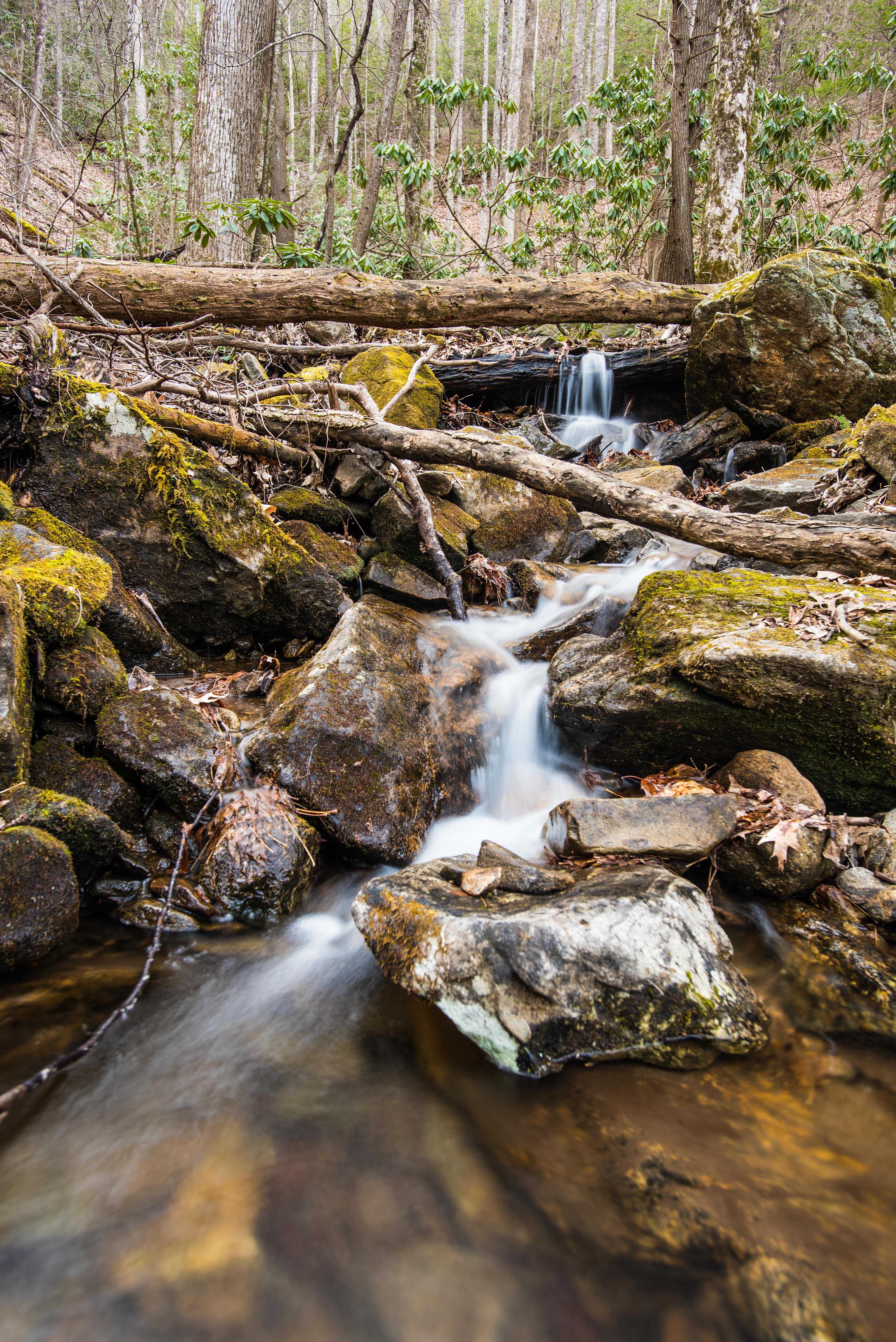 Bear Hair Gap Trail Loop