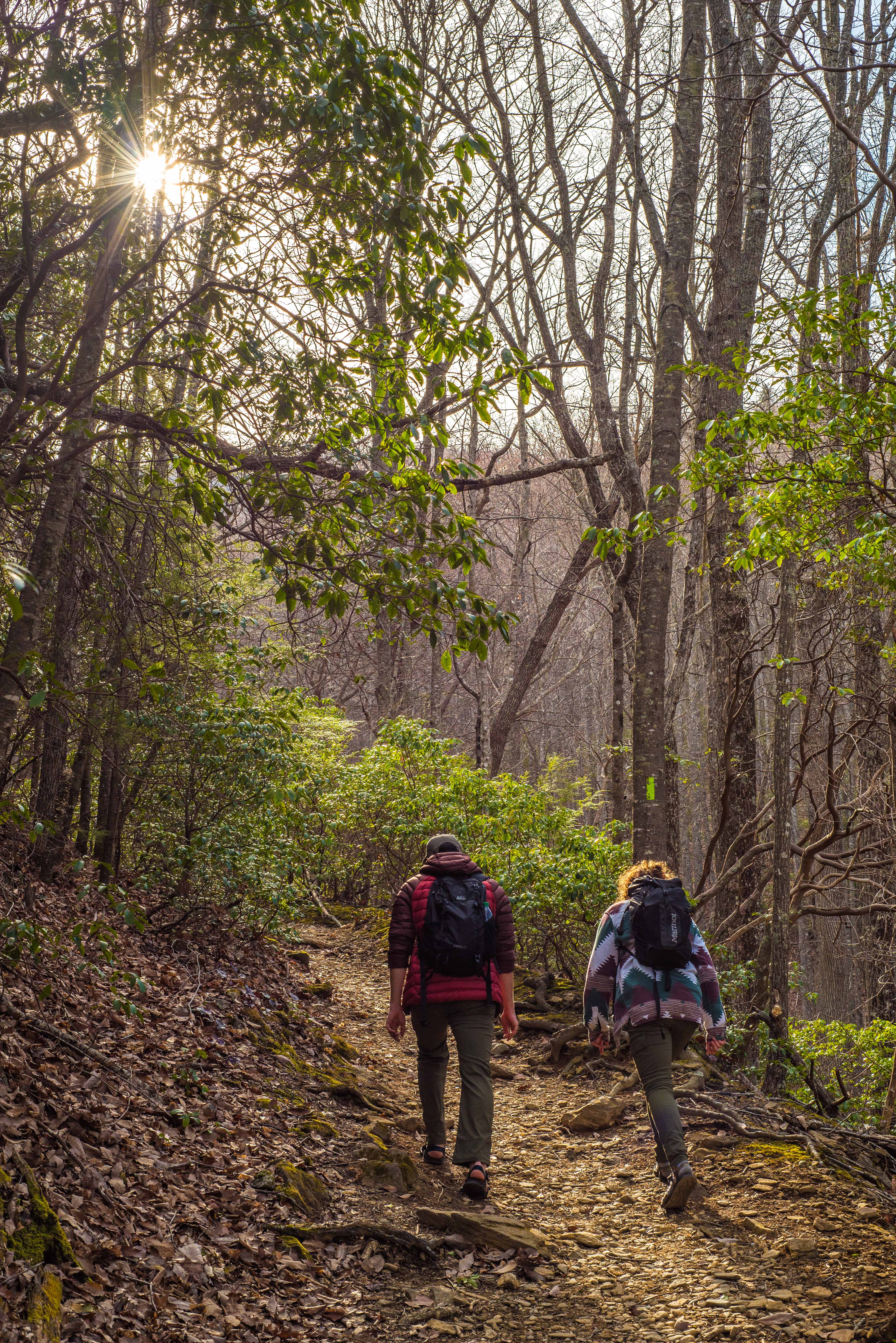 Bear Hair Gap Trail Loop