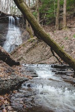 Hike to Contour Falls