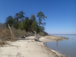 Hike the Riverview Trail 