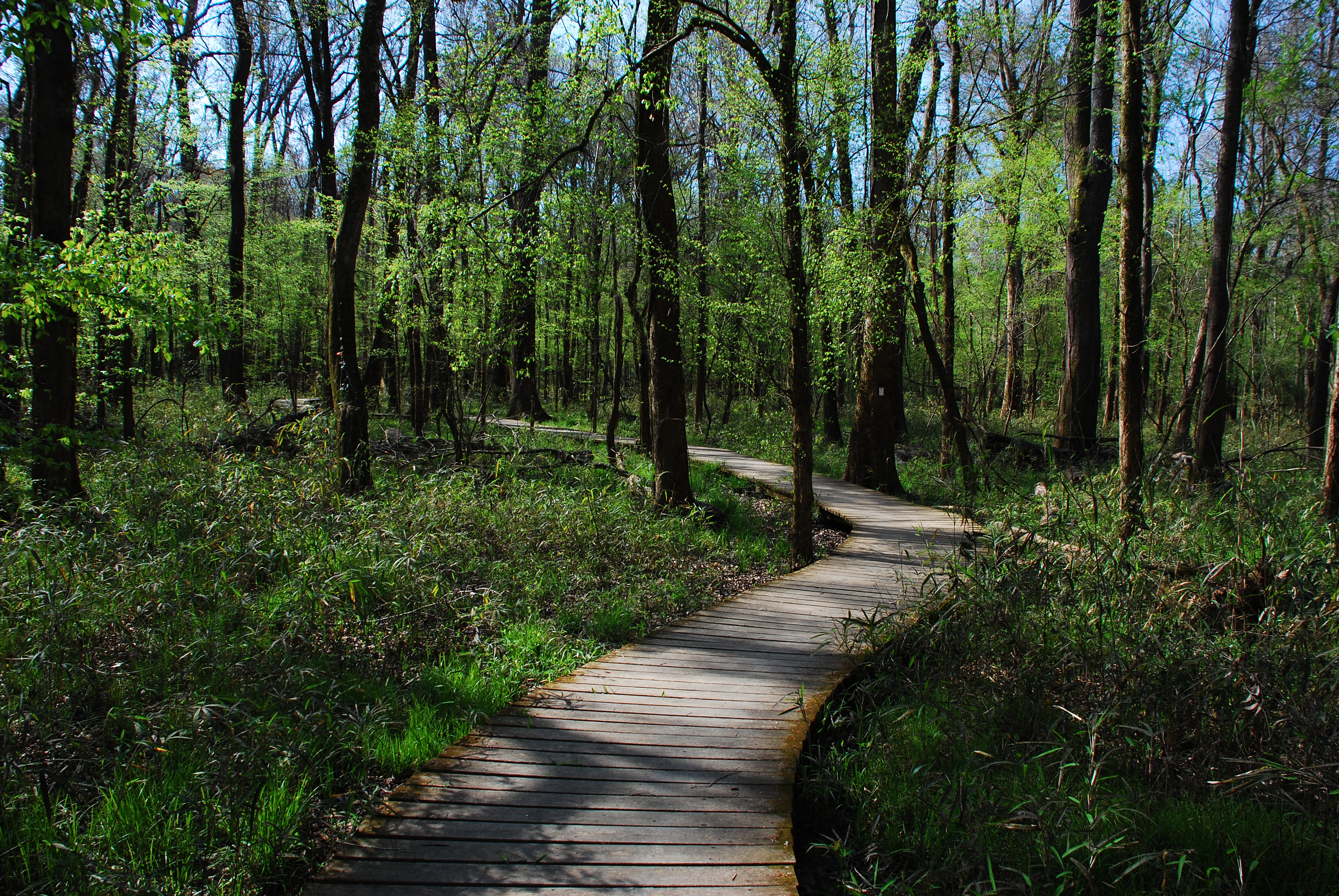 Weston Lake: Your South Carolina Lakeside Escape