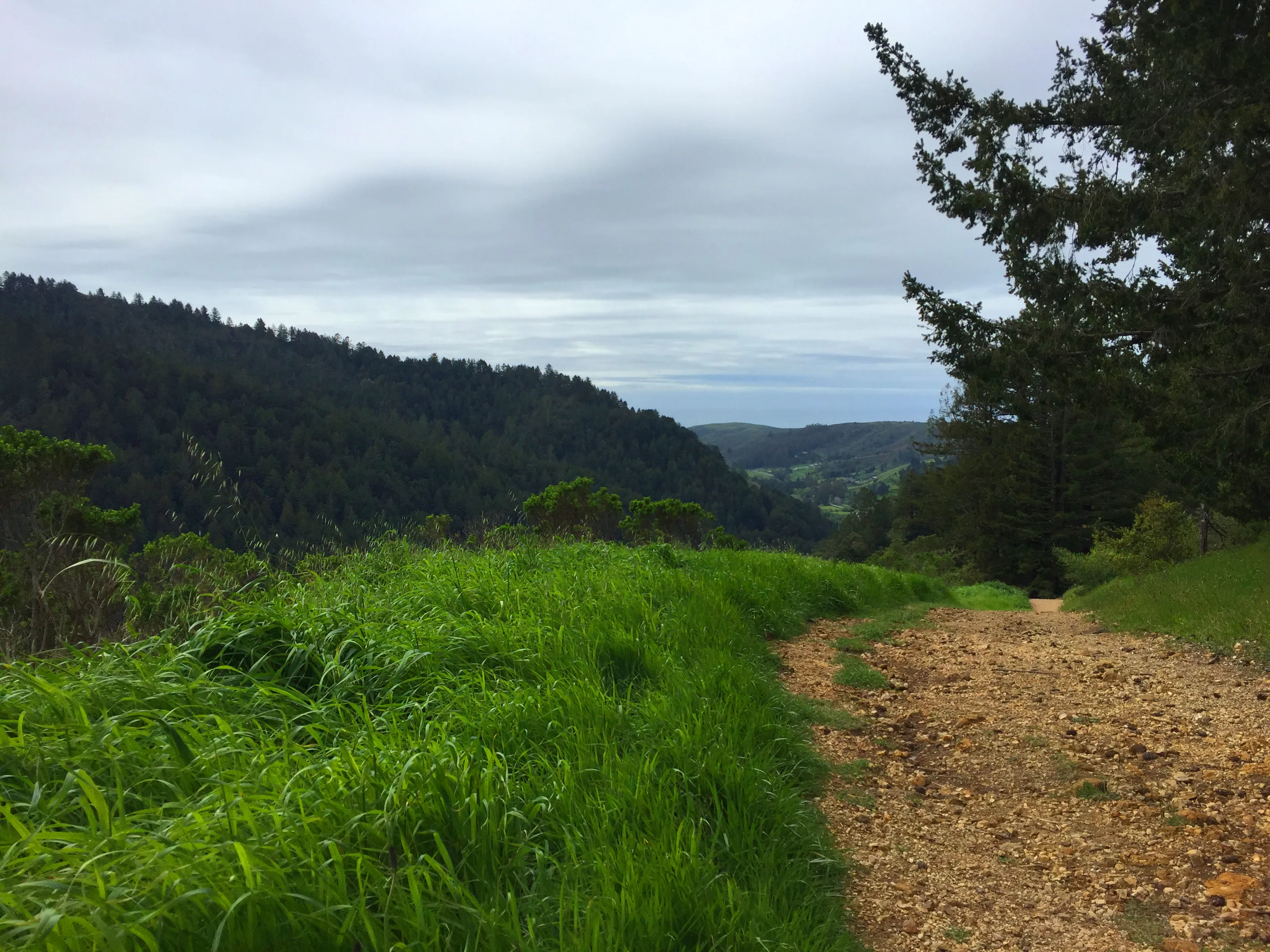 Purisima Creek Redwoods Open Space Reserve
