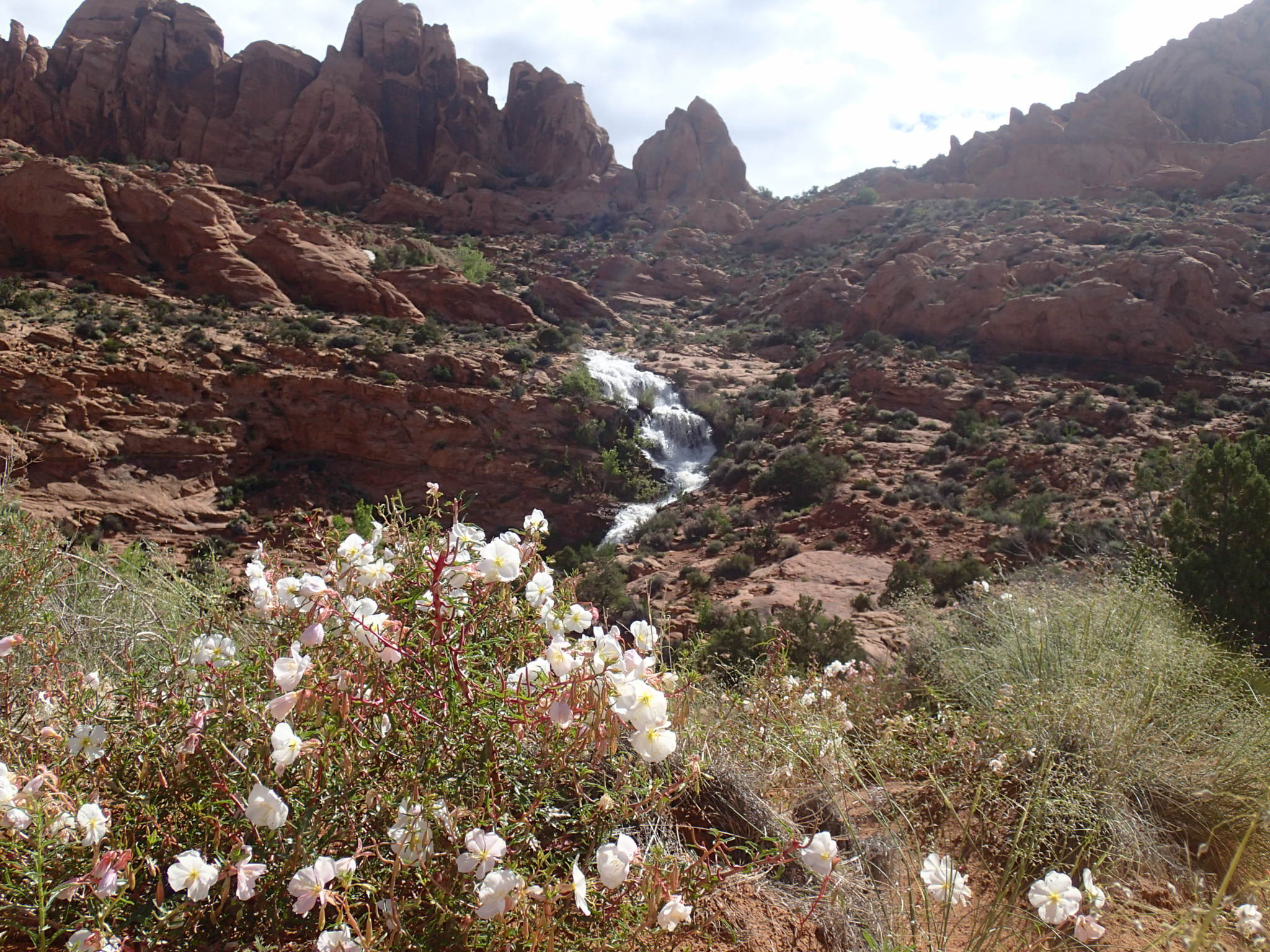 Explore Faux Falls