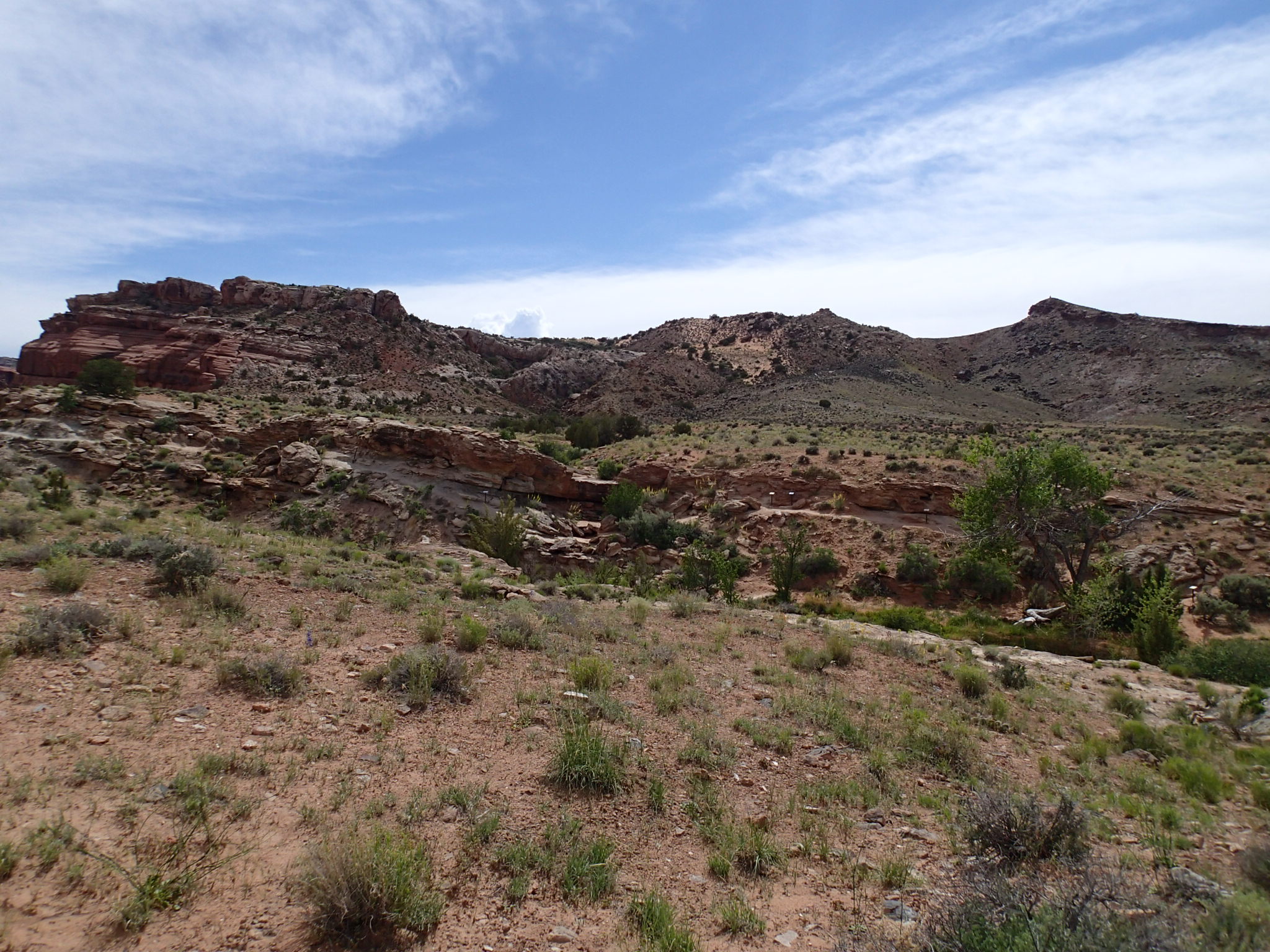 Hike the Mill Canyon Dinosaur Trail