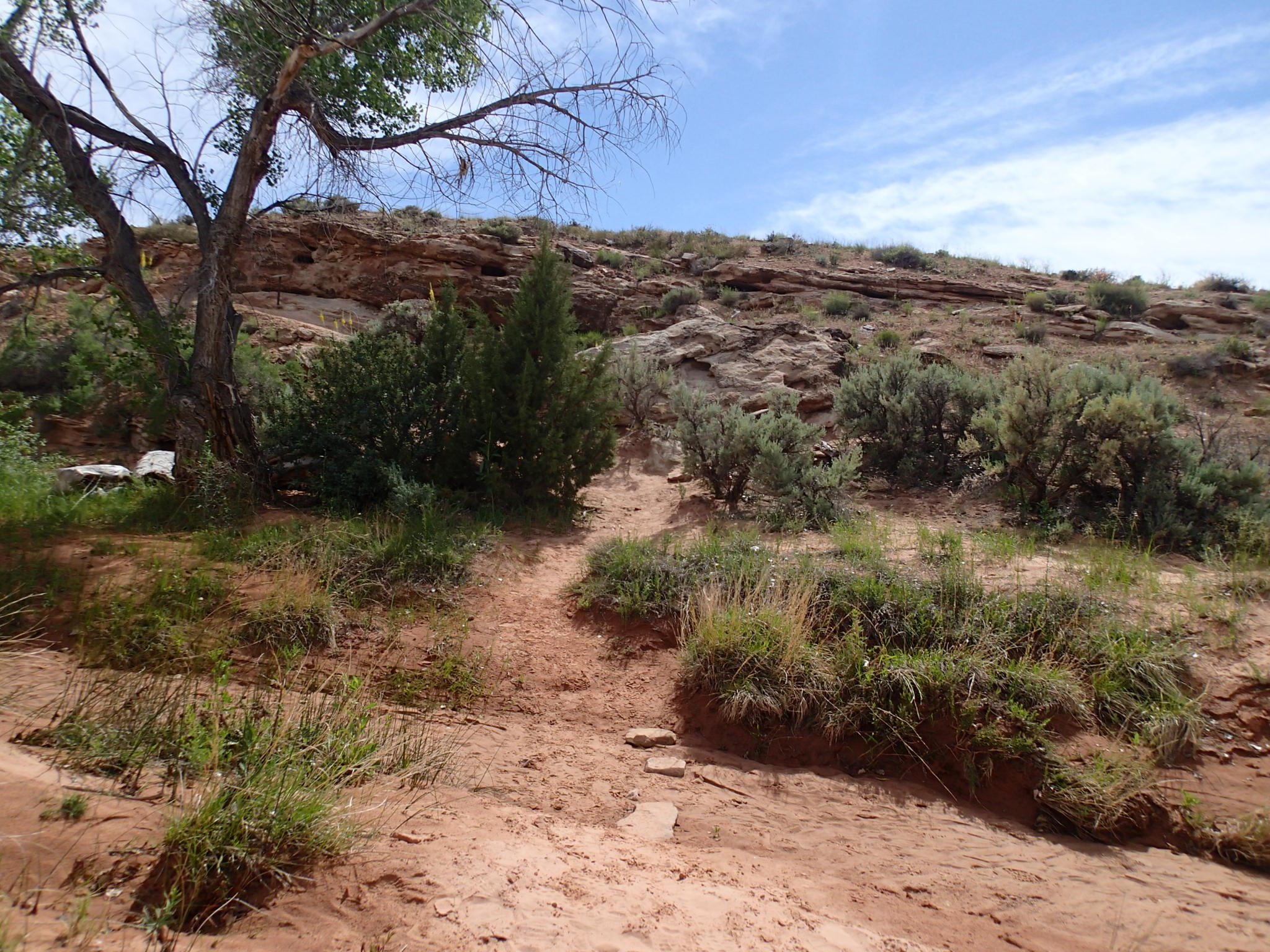 Hike the Mill Canyon Dinosaur Trail