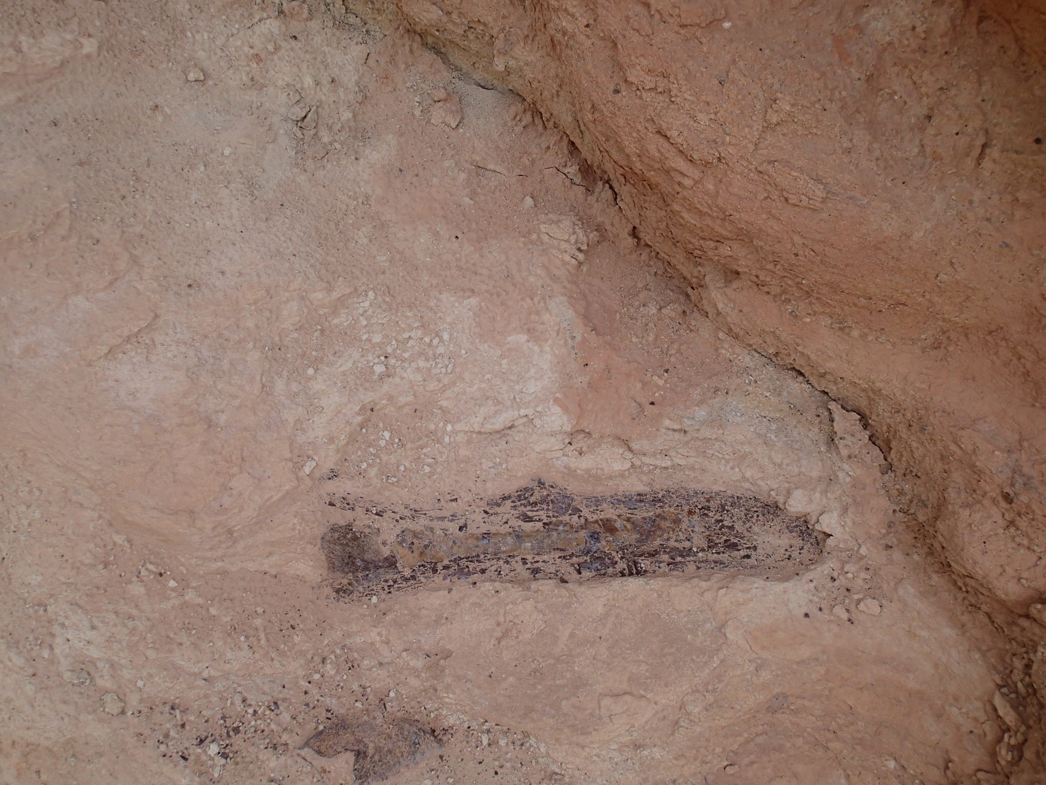 Hike the Mill Canyon Dinosaur Trail