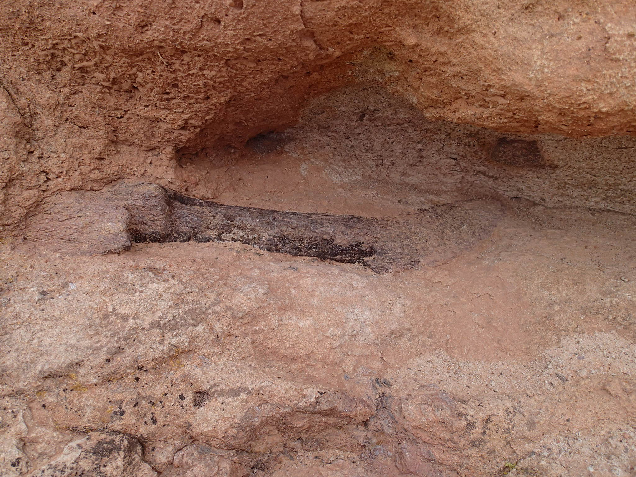 Hike the Mill Canyon Dinosaur Trail