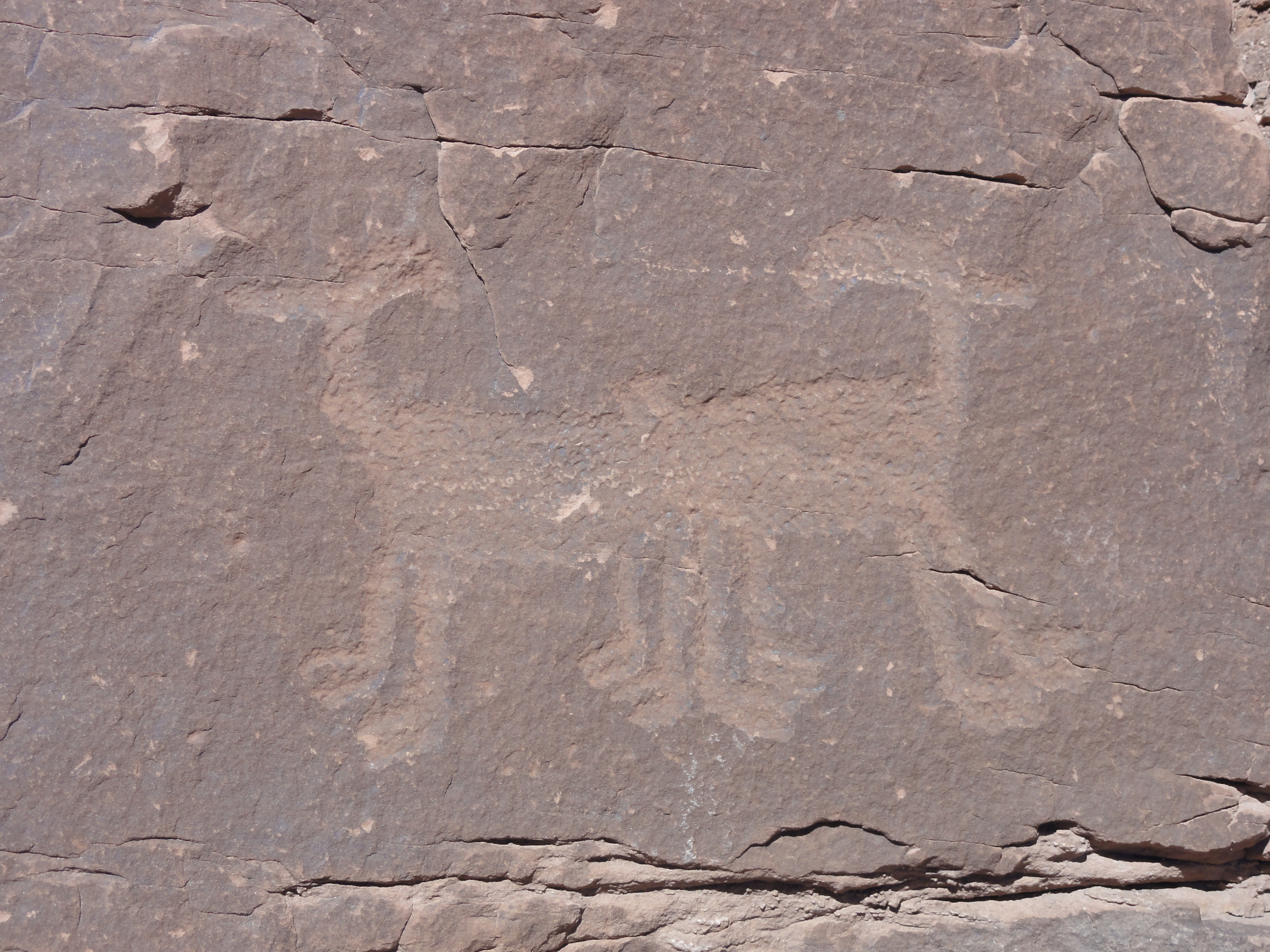 Visit the Poison Spider Petroglyphs