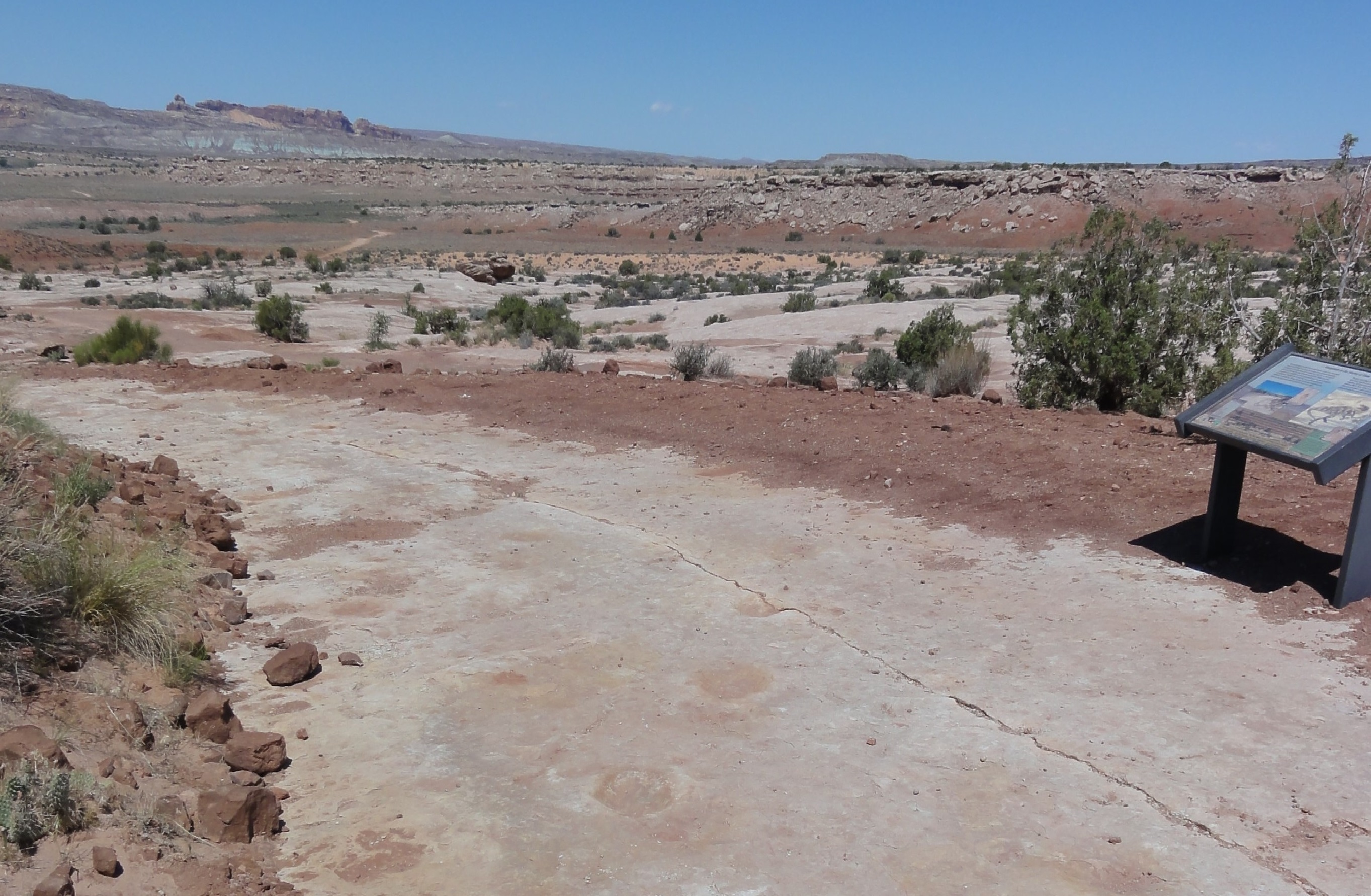 Explore the Willow Springs Dinosaur Tracks
