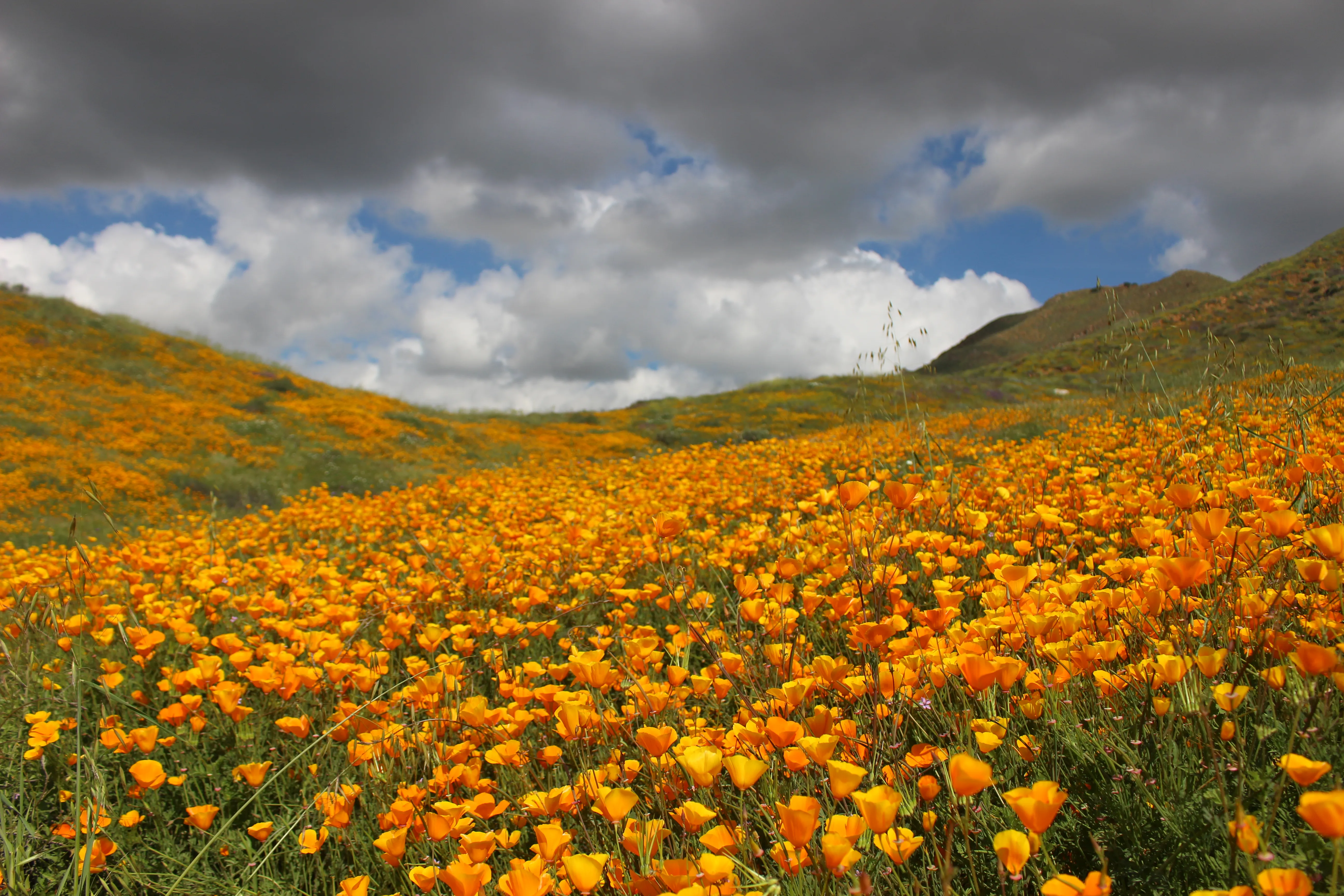 Explore Walker Canyon 