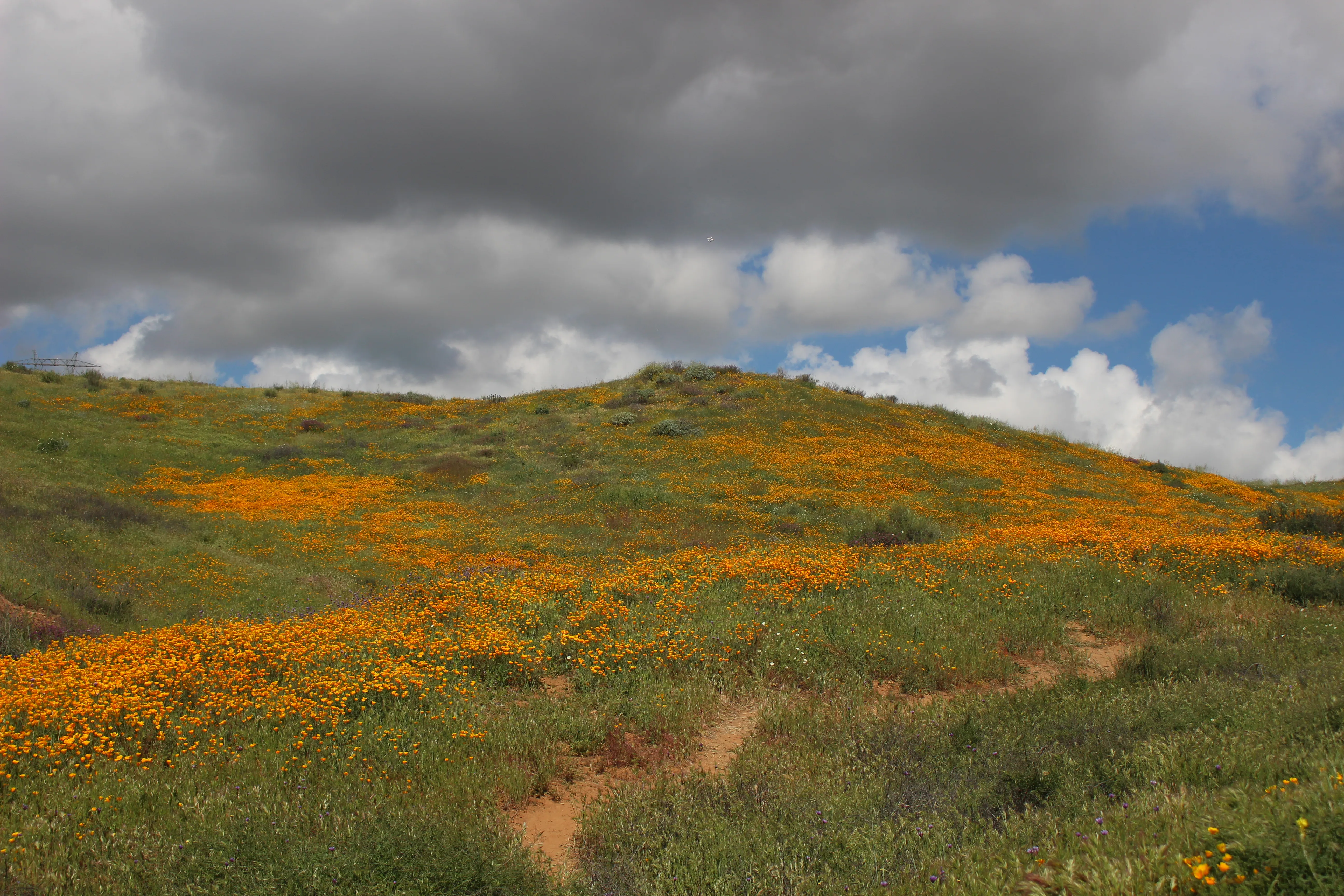 Explore Walker Canyon 
