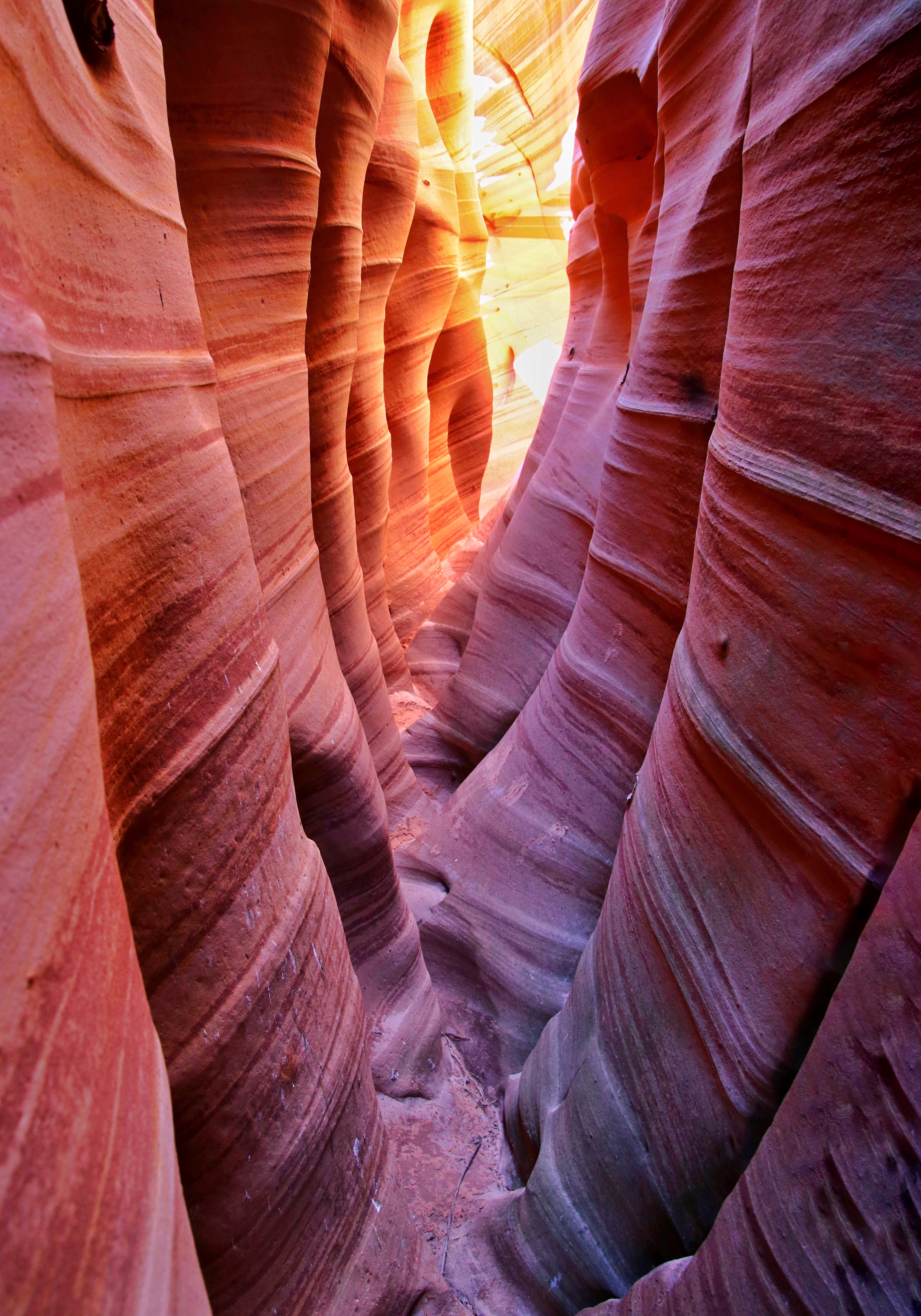 Zebra and Tunnel Slot Canyons Loop