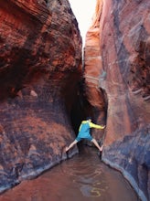 Zebra and Tunnel Slot Canyons Loop