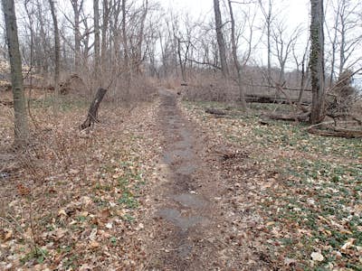 Hike the Dyckman Hill/Carpenter's Grove Loop