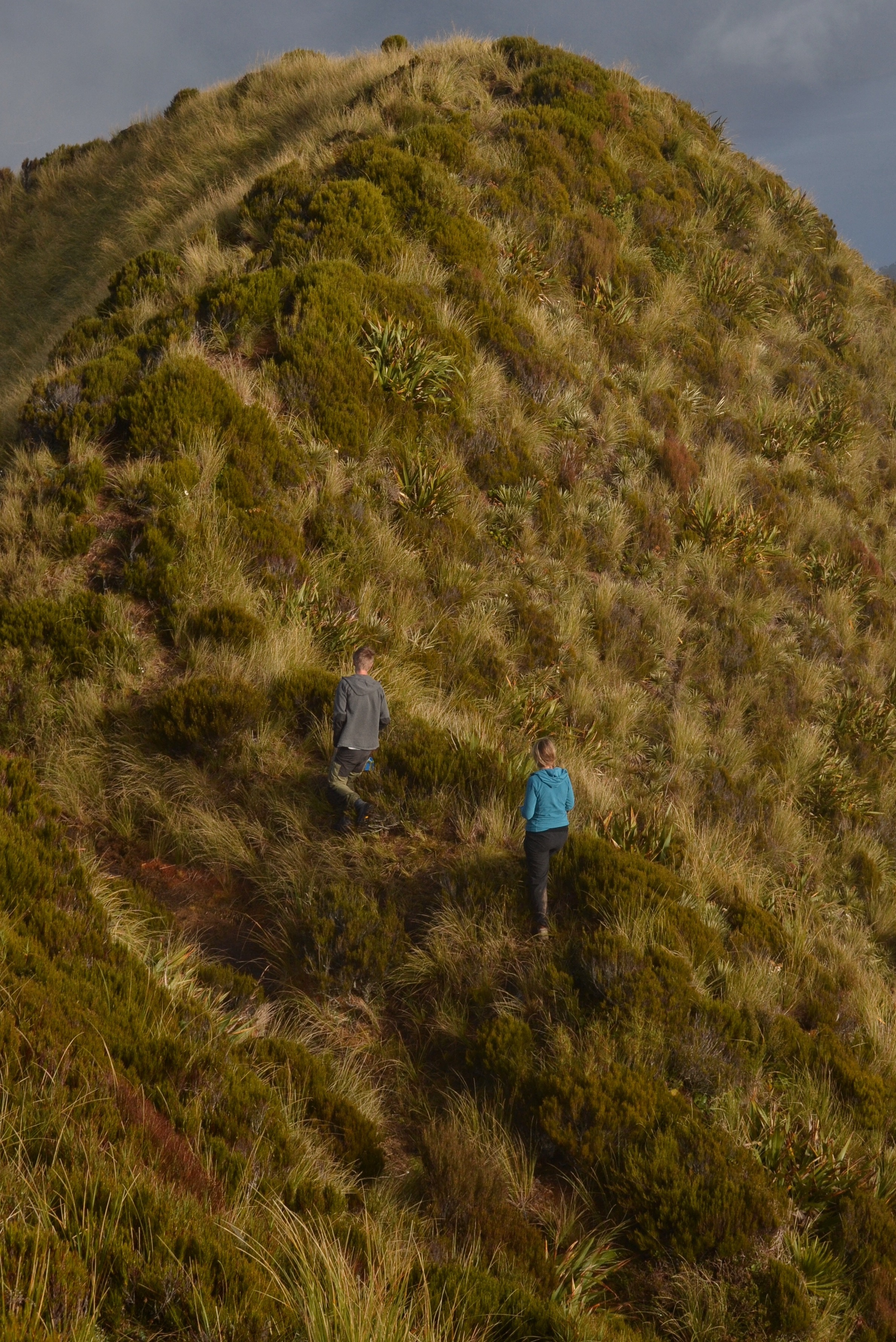 Hike to the Mt. Brown Hut and Mt. Brown Summit