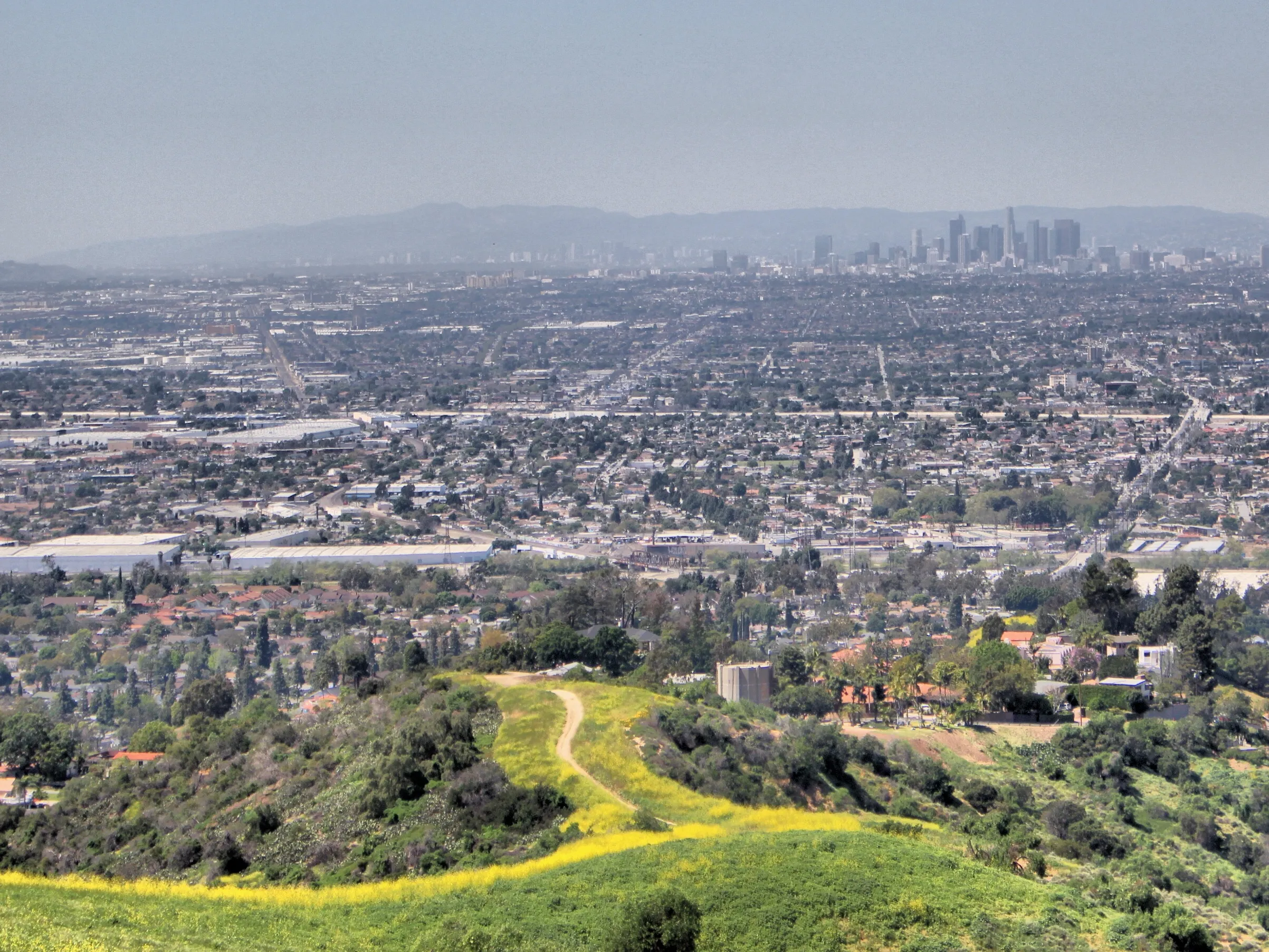 Sycamore Canyon Trail in Turnbull Canyon