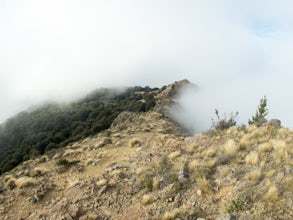 Hike to the Ben Nevis Summit in New Zealand