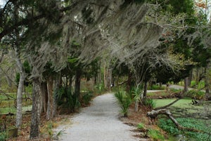 Walk around Audubon Swamp 