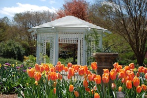 Visit Lewis Ginter Botanical Garden