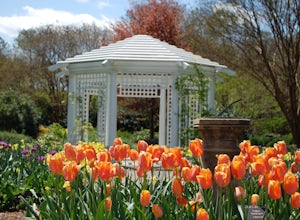 Visit Lewis Ginter Botanical Garden