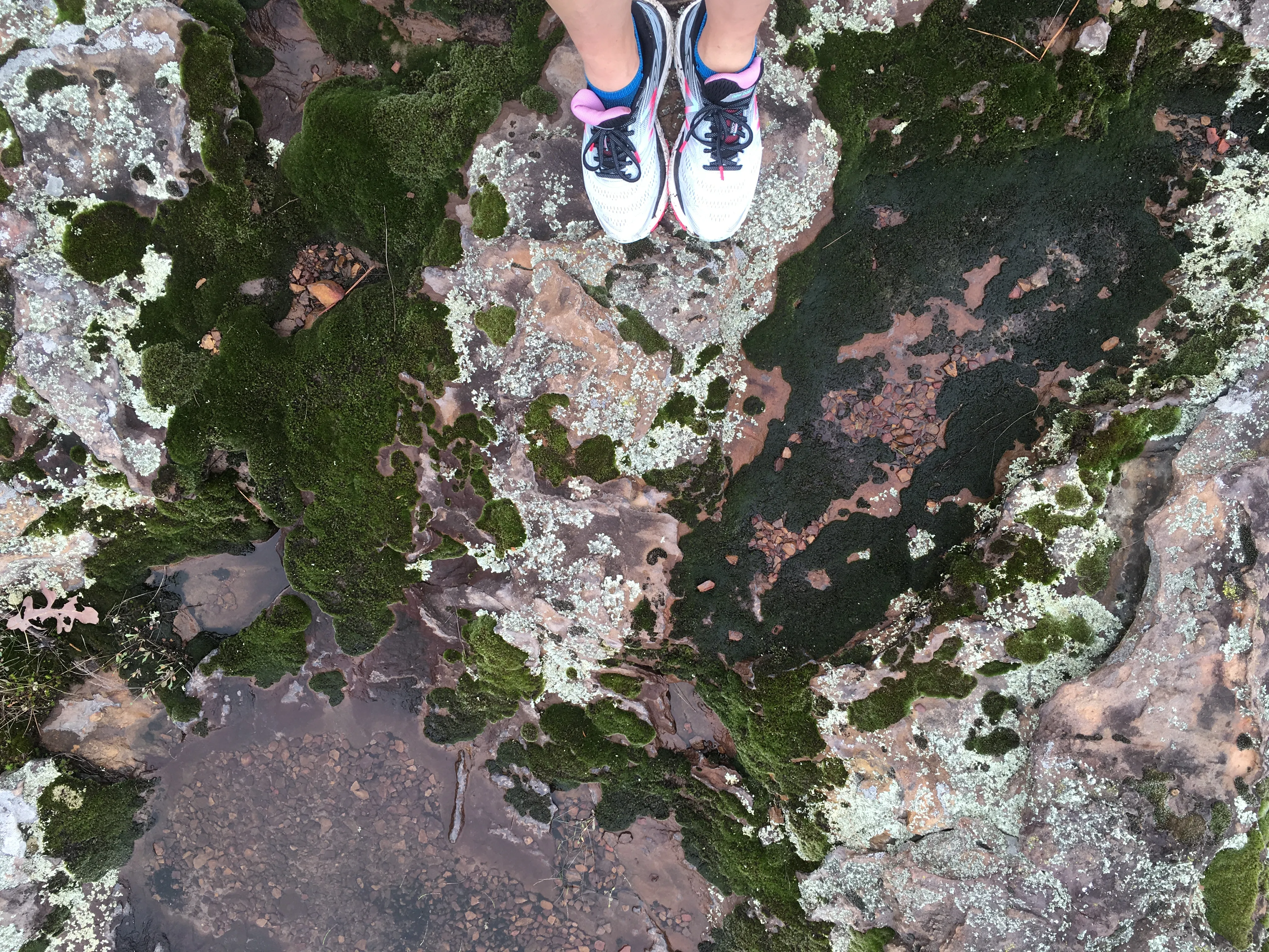 Hike the Seven Hollows Trail at Petit Jean SP