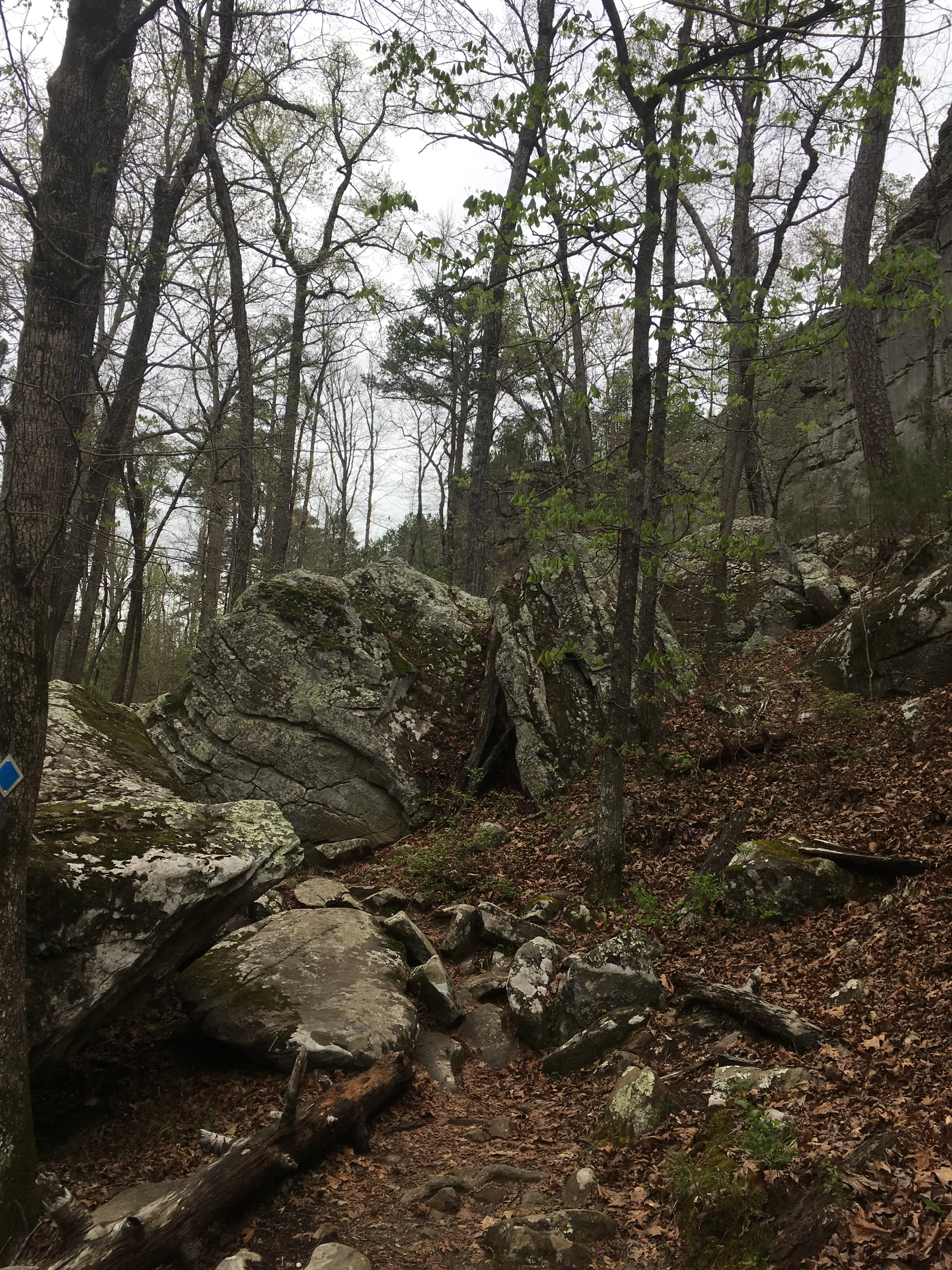 Hike the Seven Hollows Trail at Petit Jean SP