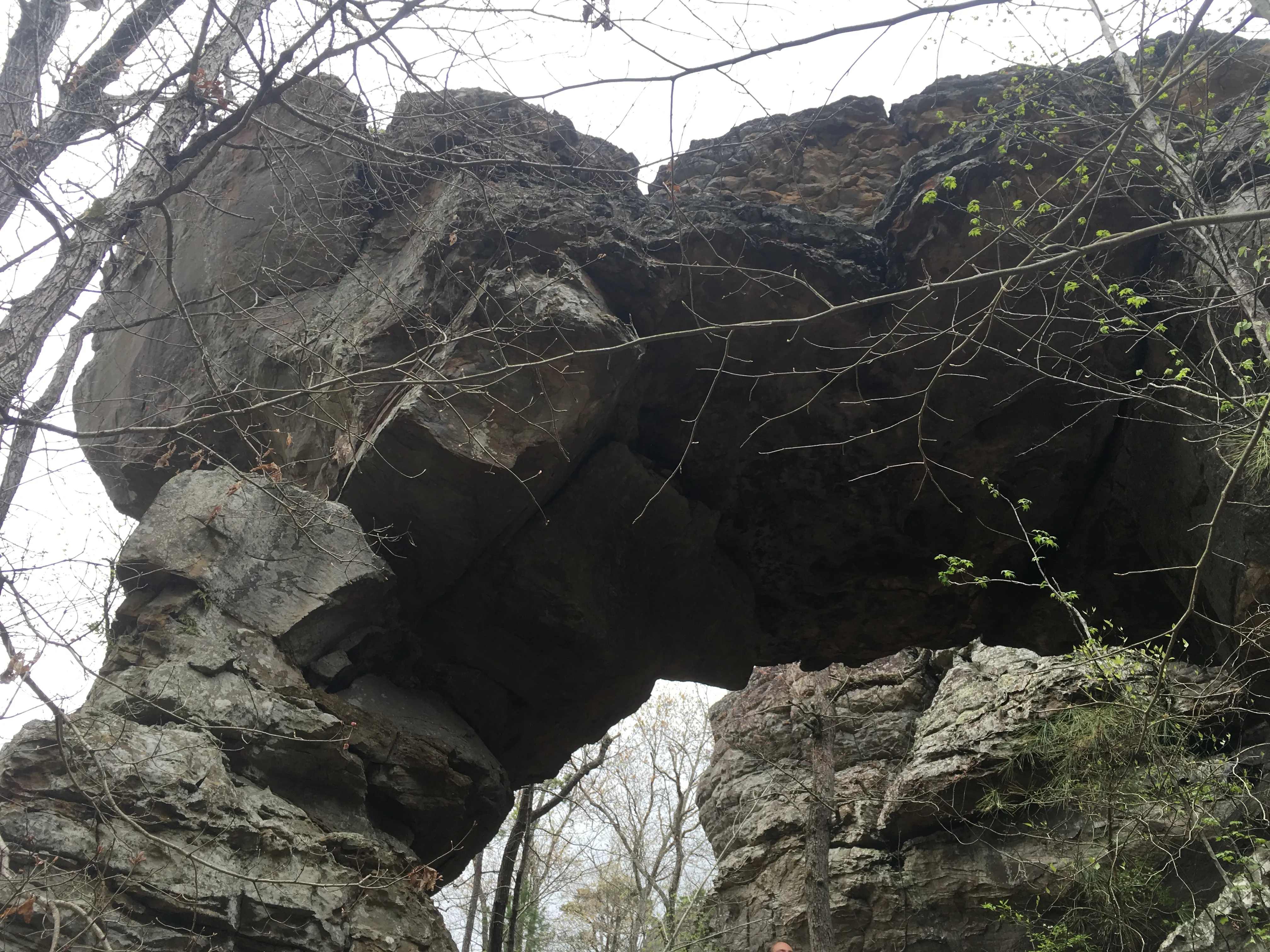 Hike the Seven Hollows Trail at Petit Jean SP