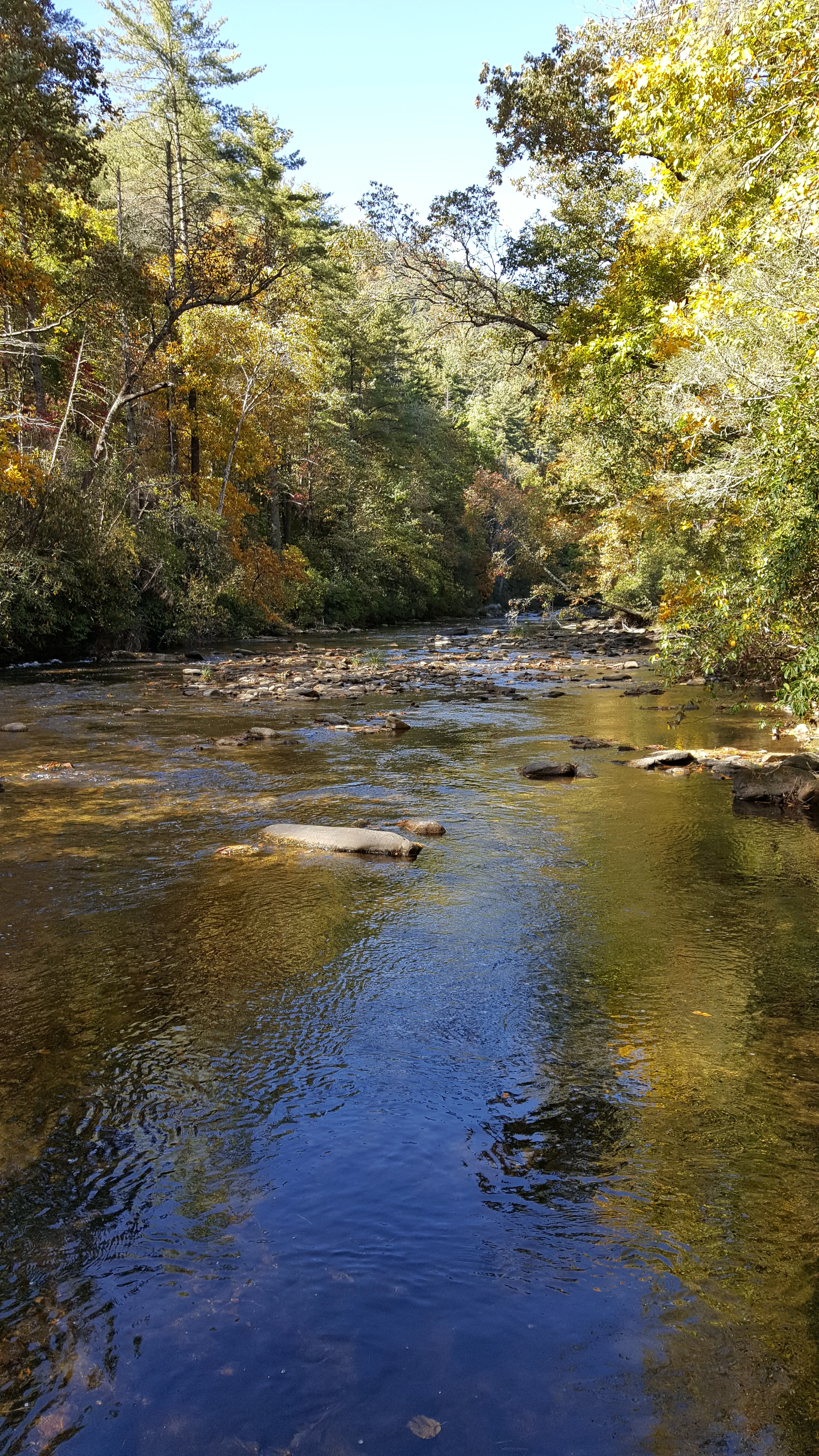 Hike along the Chattooga River to Spoonauger Falls