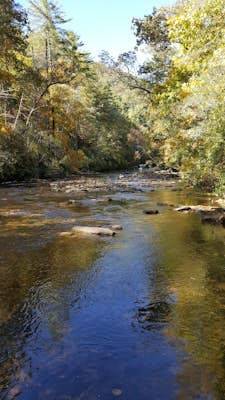 Hike along the Chattooga River to Spoonauger Falls