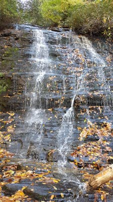 Hike along the Chattooga River to Spoonauger Falls