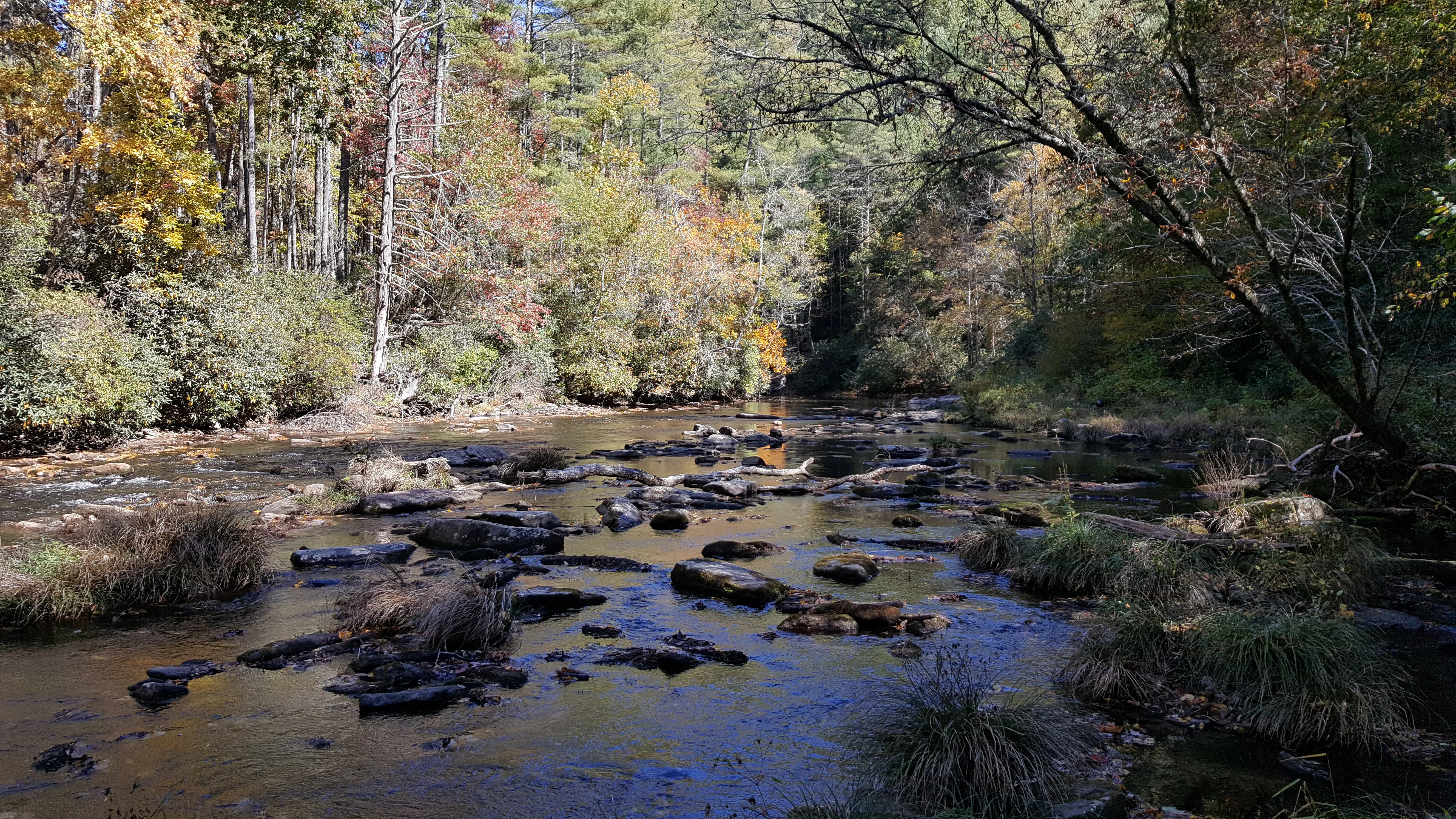 Hike along the Chattooga River to Spoonauger Falls