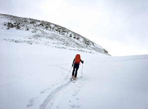 Backcountry Ski at Fremont Pass