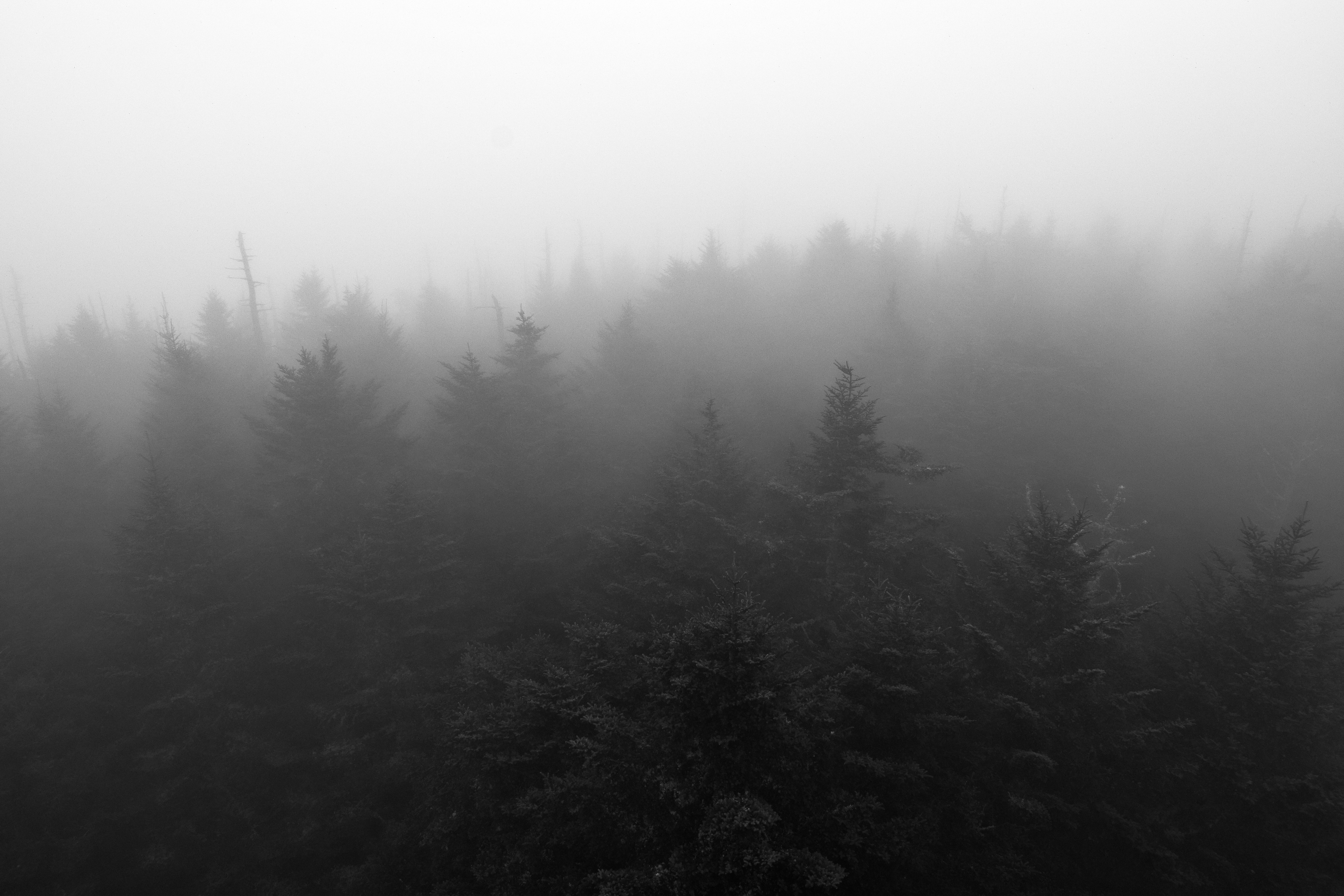 Clingman’s Dome via Newfound Gap