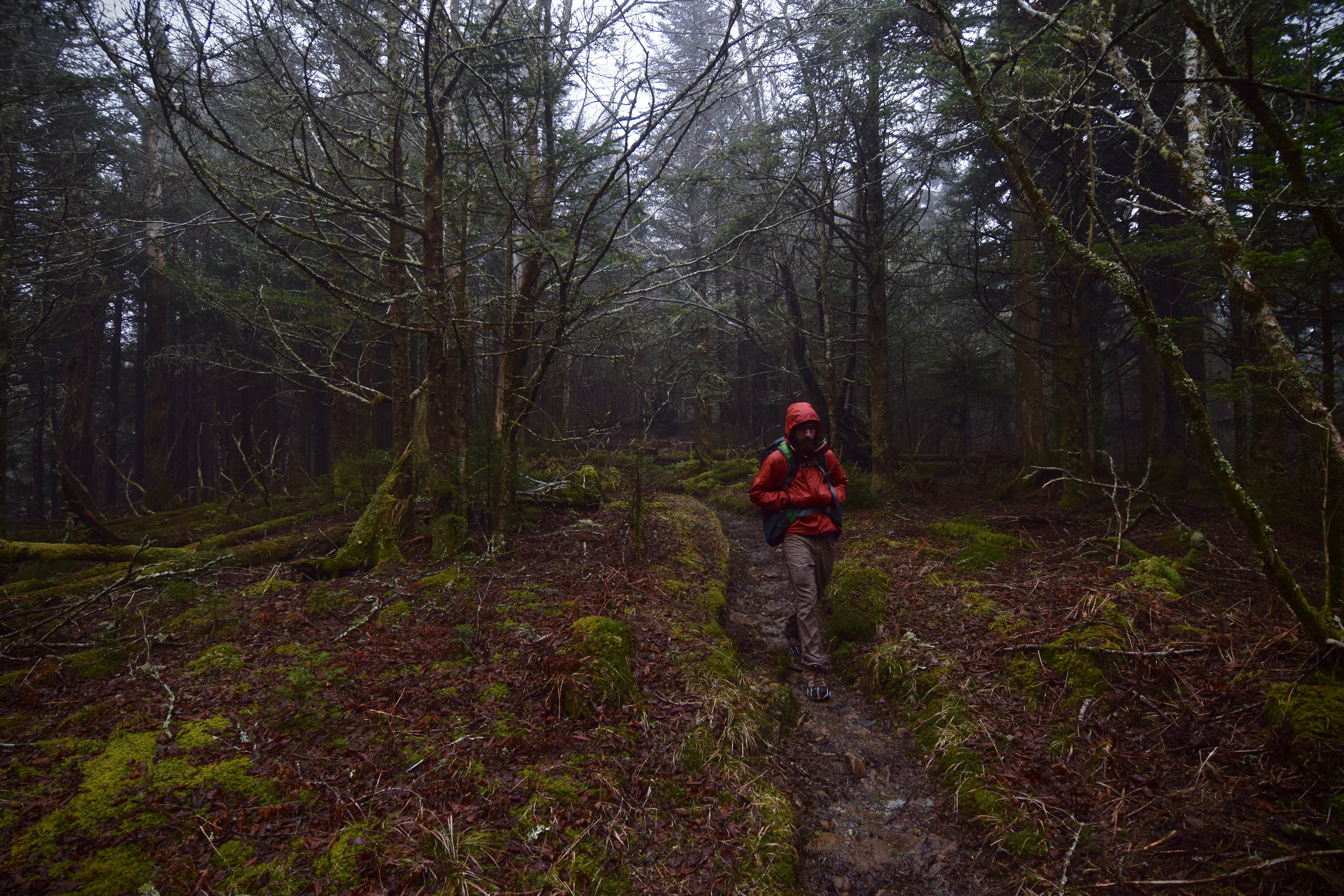 Clingman’s Dome via Newfound Gap