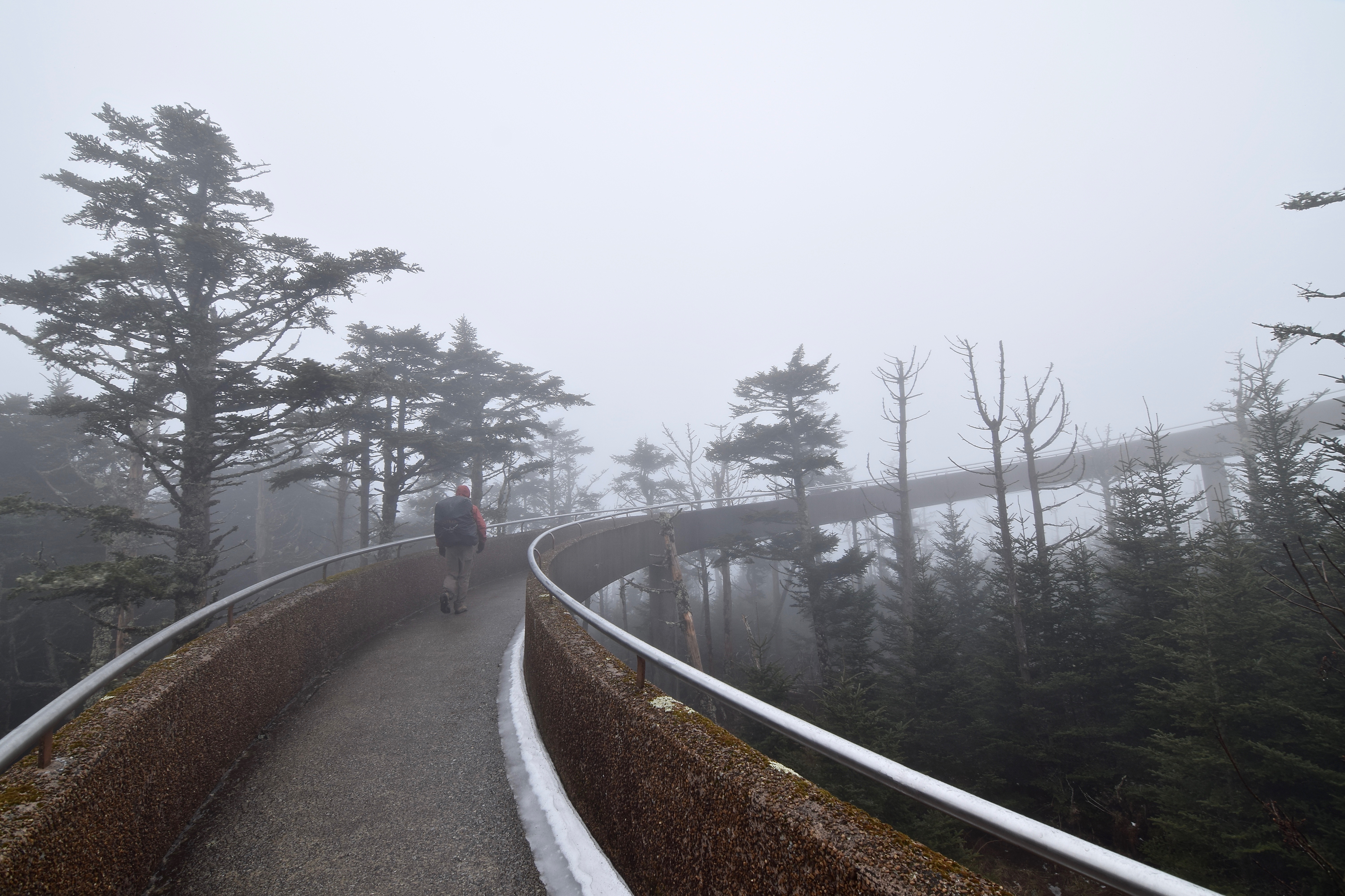Clingman’s Dome via Newfound Gap