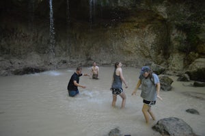 Hike the Clark Creek Nature Area Loop