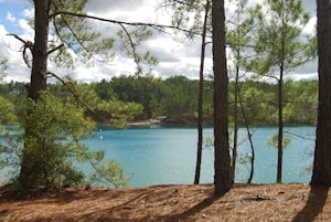 Swim in the Blue Lagoon