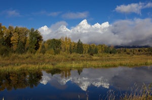 Pledge to Protect our National Parks