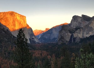 Rising Popularity of National Parks: Helpful or Harmful?