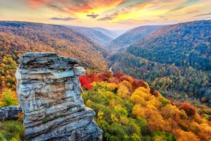 Camp at  Blackwater Falls State Park