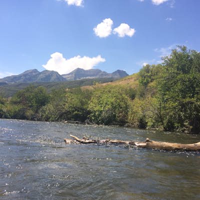 Floating the Provo River