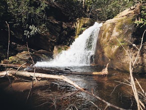 7 Photos from a Hiking Gem Near Atlanta, Georgia