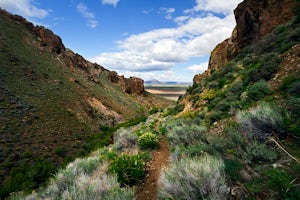 Hike Pike Creek Trail in the Steens Mountains