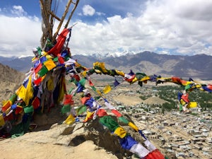Hike Above Leh Palace