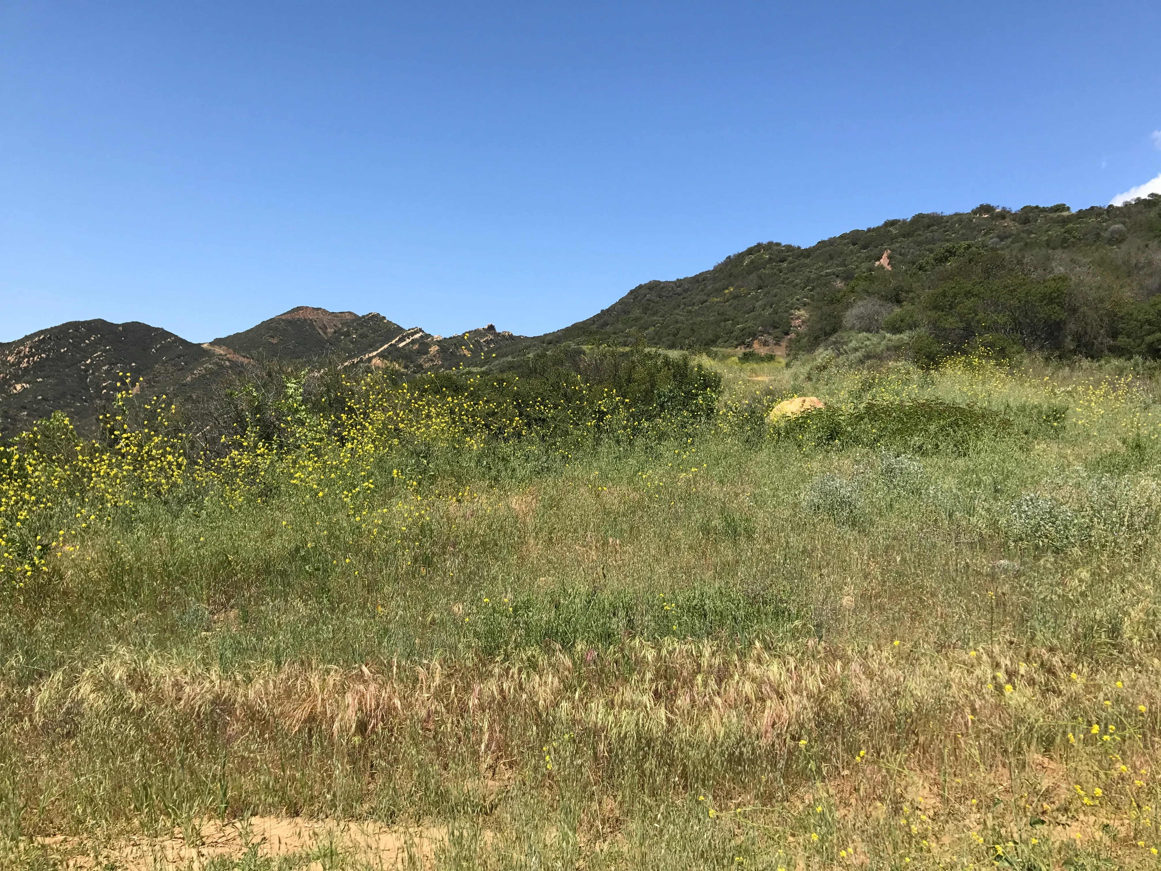 Calabasas Peak Motorway