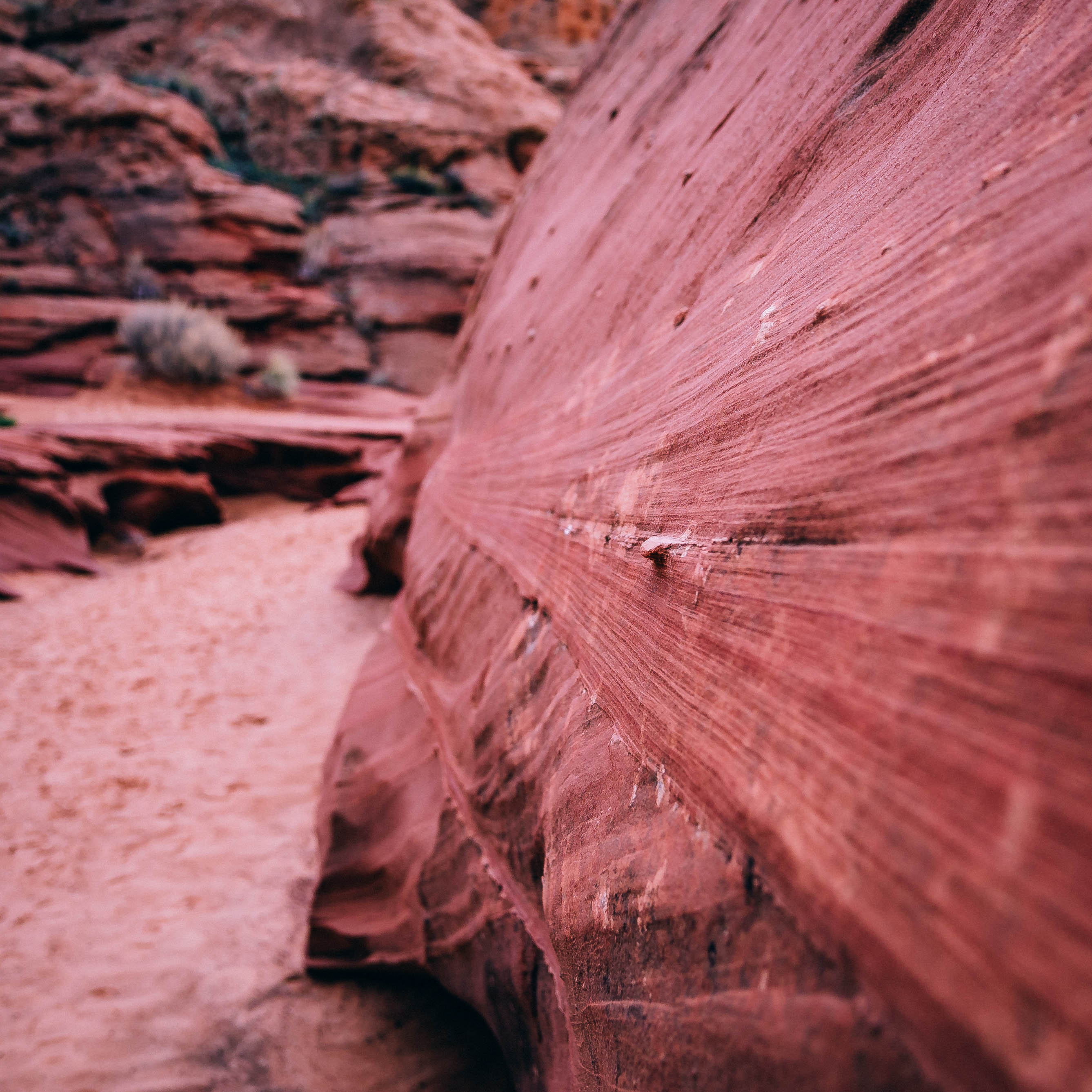 Hike through Upper Waterholes Canyon